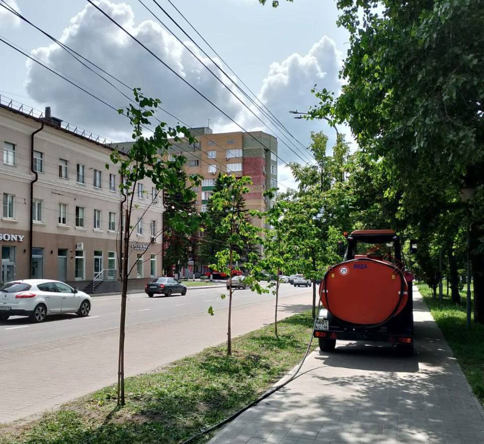 Эксперты поливают крупные саженцы и кустарники на улицах Курска