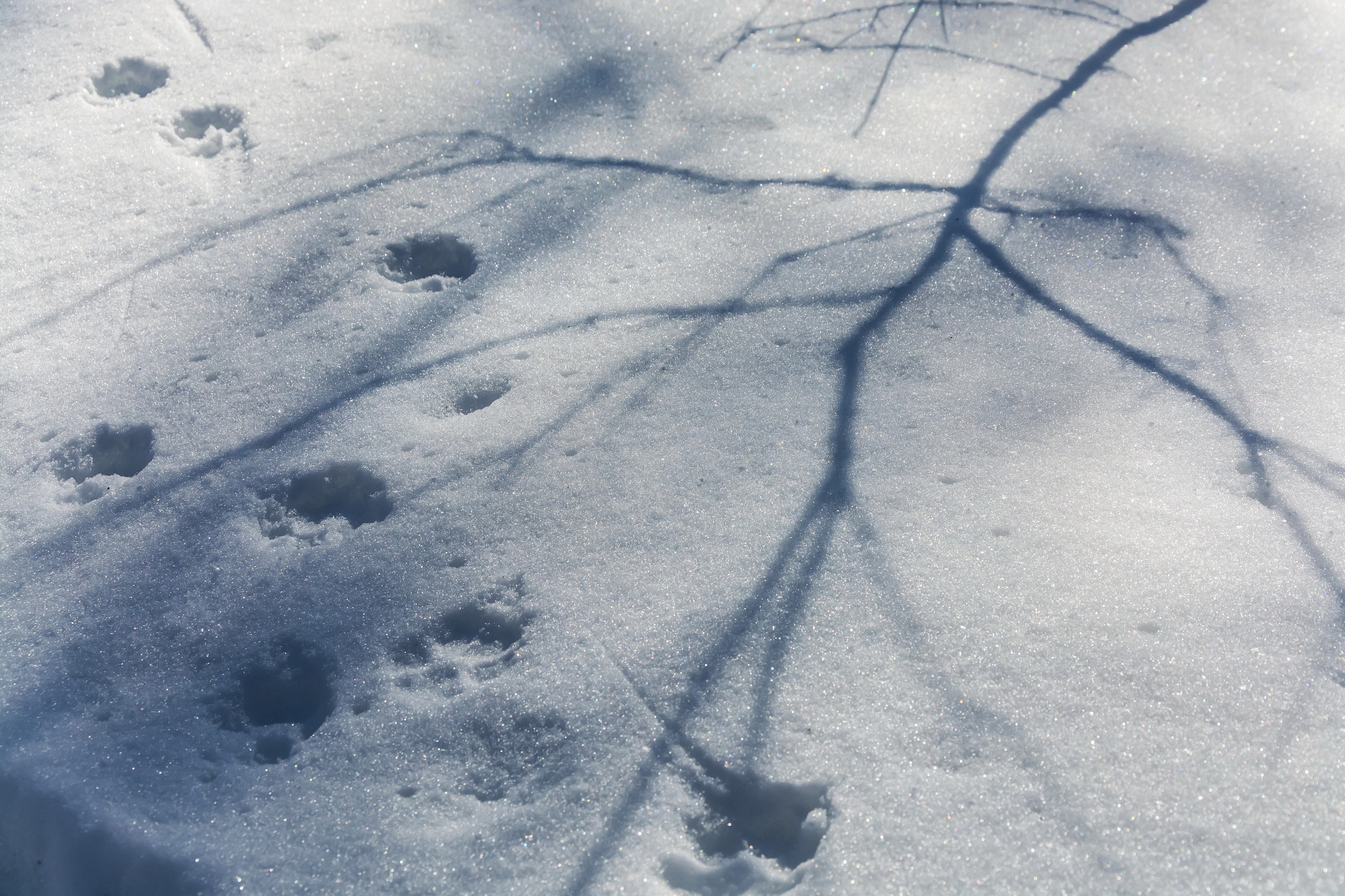 В Курске 10 марта обещают +9 градусов