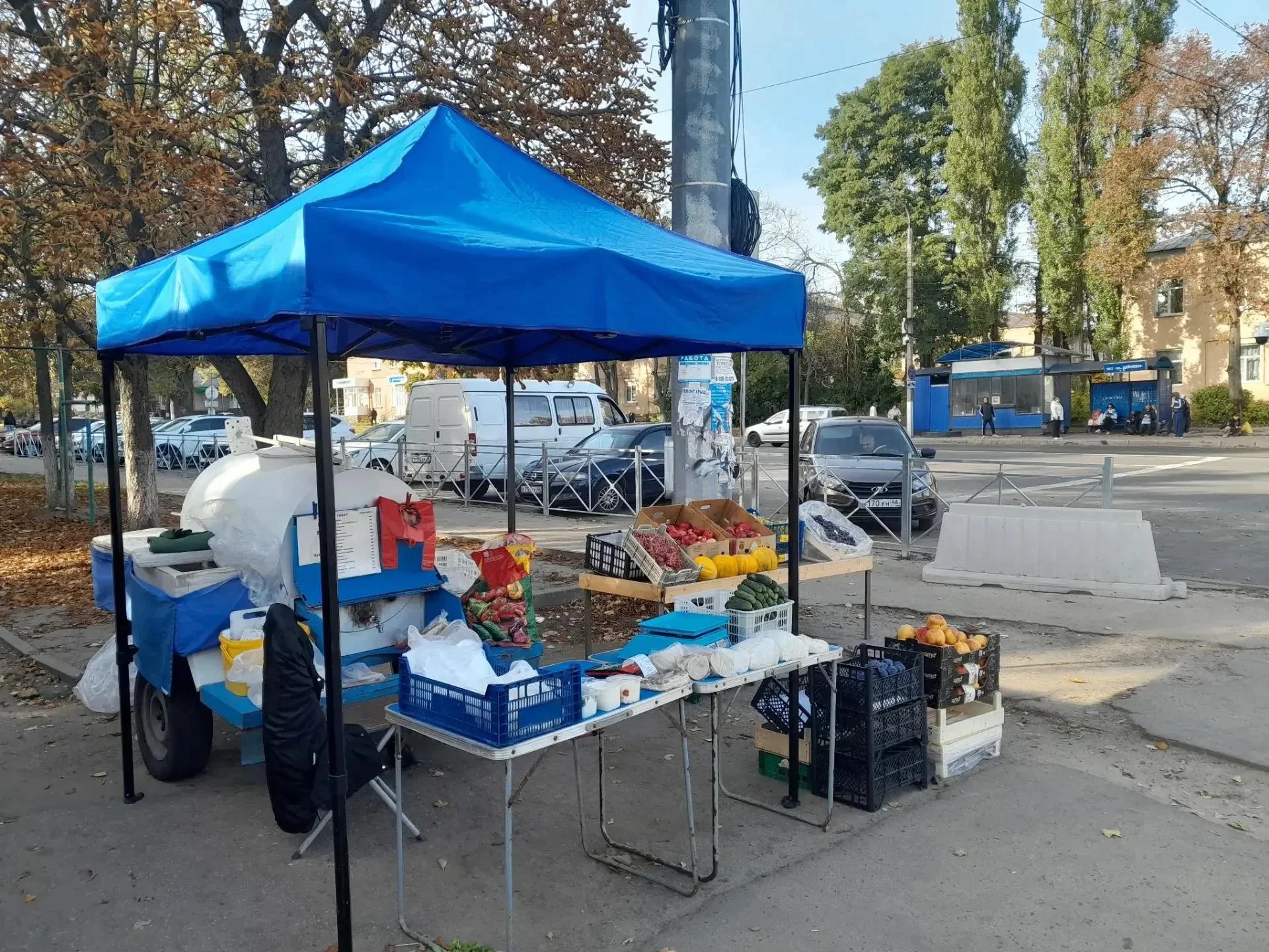 В Курске продолжают пресекать несанкционированную торговлю