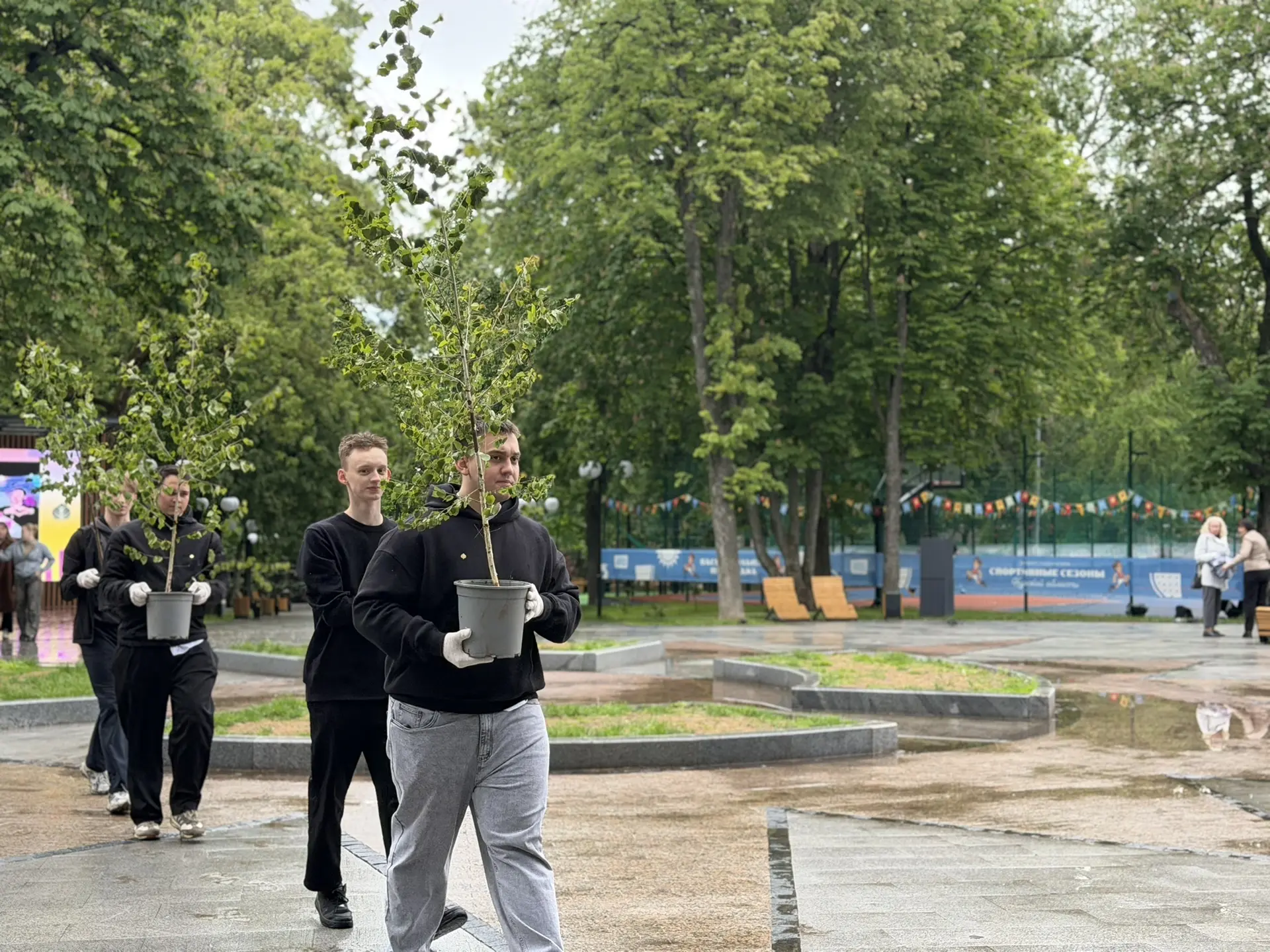 В Курске  появилась «Аллея РСМ»