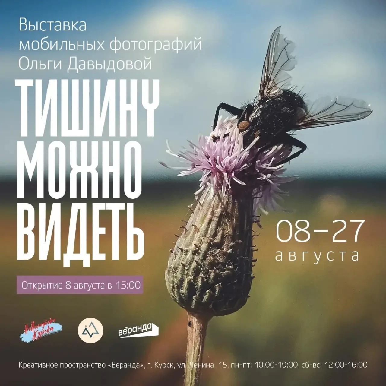 В Курске откроется выставка мобильных фотографий