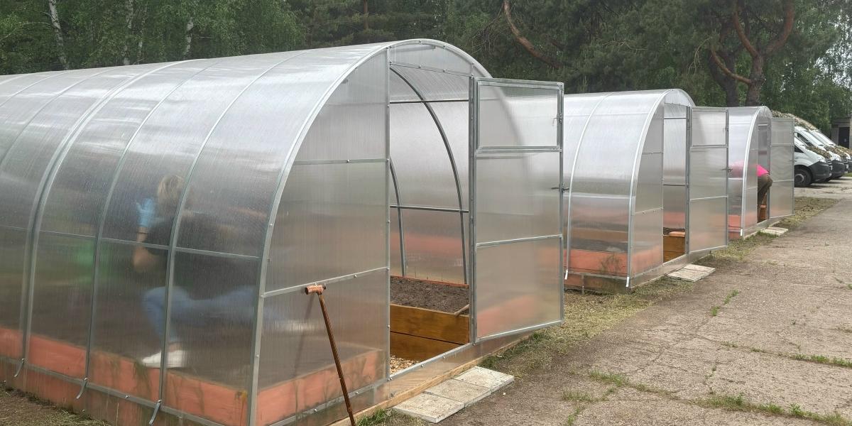 Готовим теплицу к огородному сезону