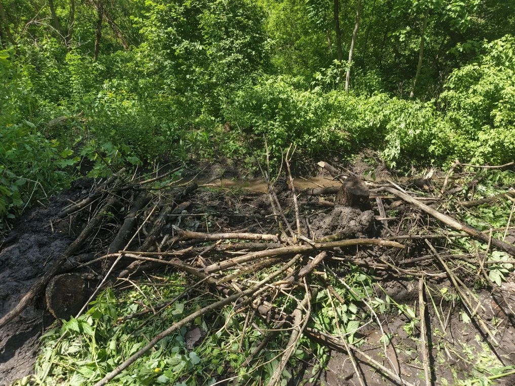 На «Боевой даче» очищают водоотводный канал