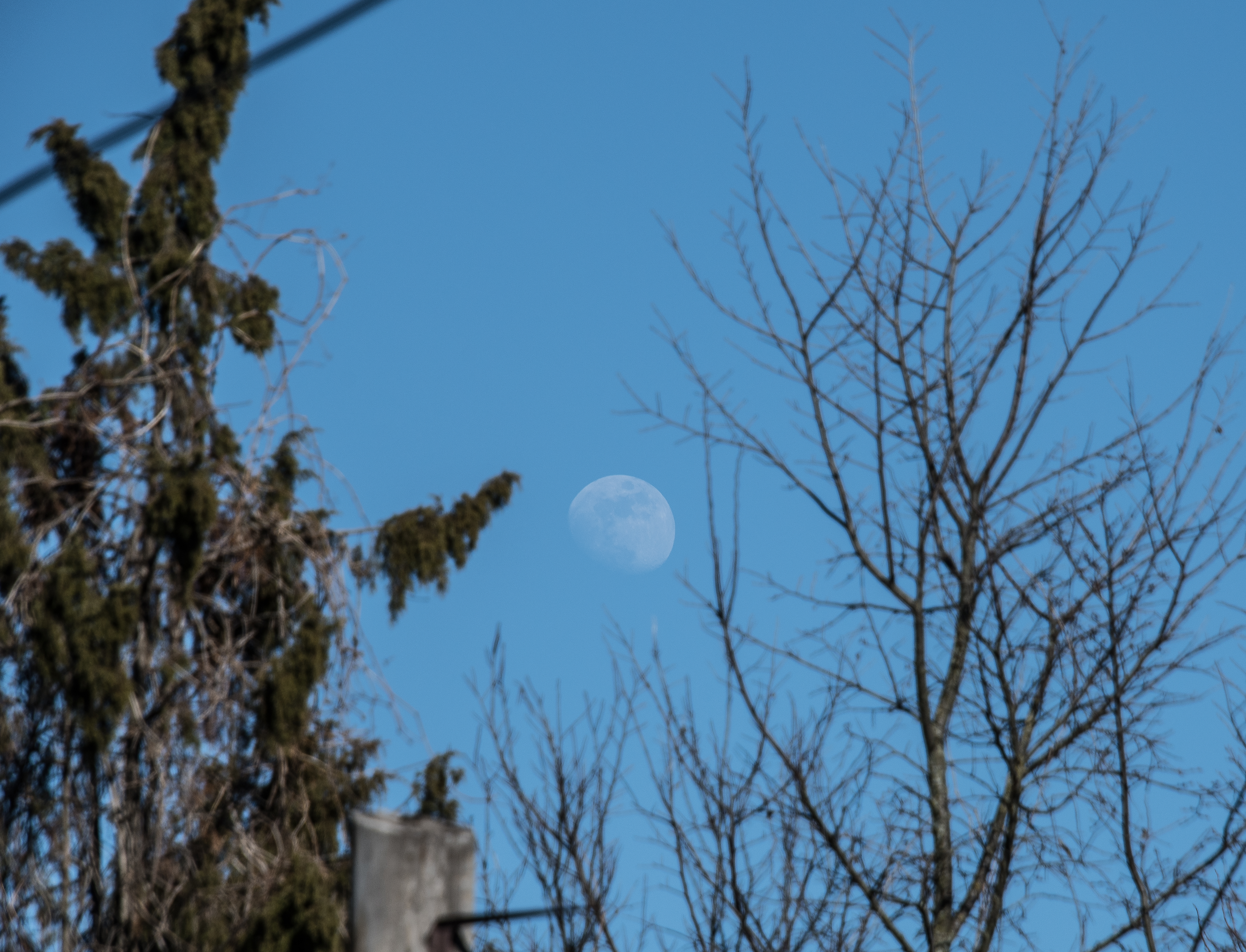 Курян предупредили о сильном ветре в ближайшие сутки
