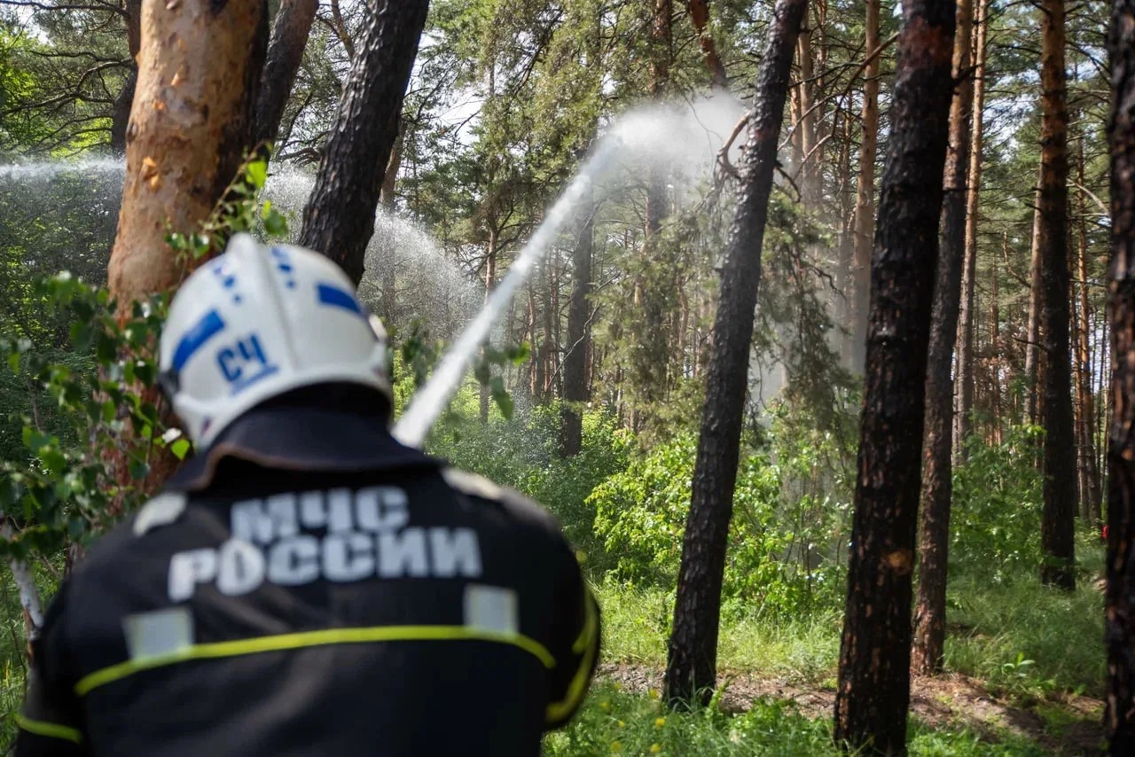 В Курской области 20 августа могут ввести особый противопожарный режим