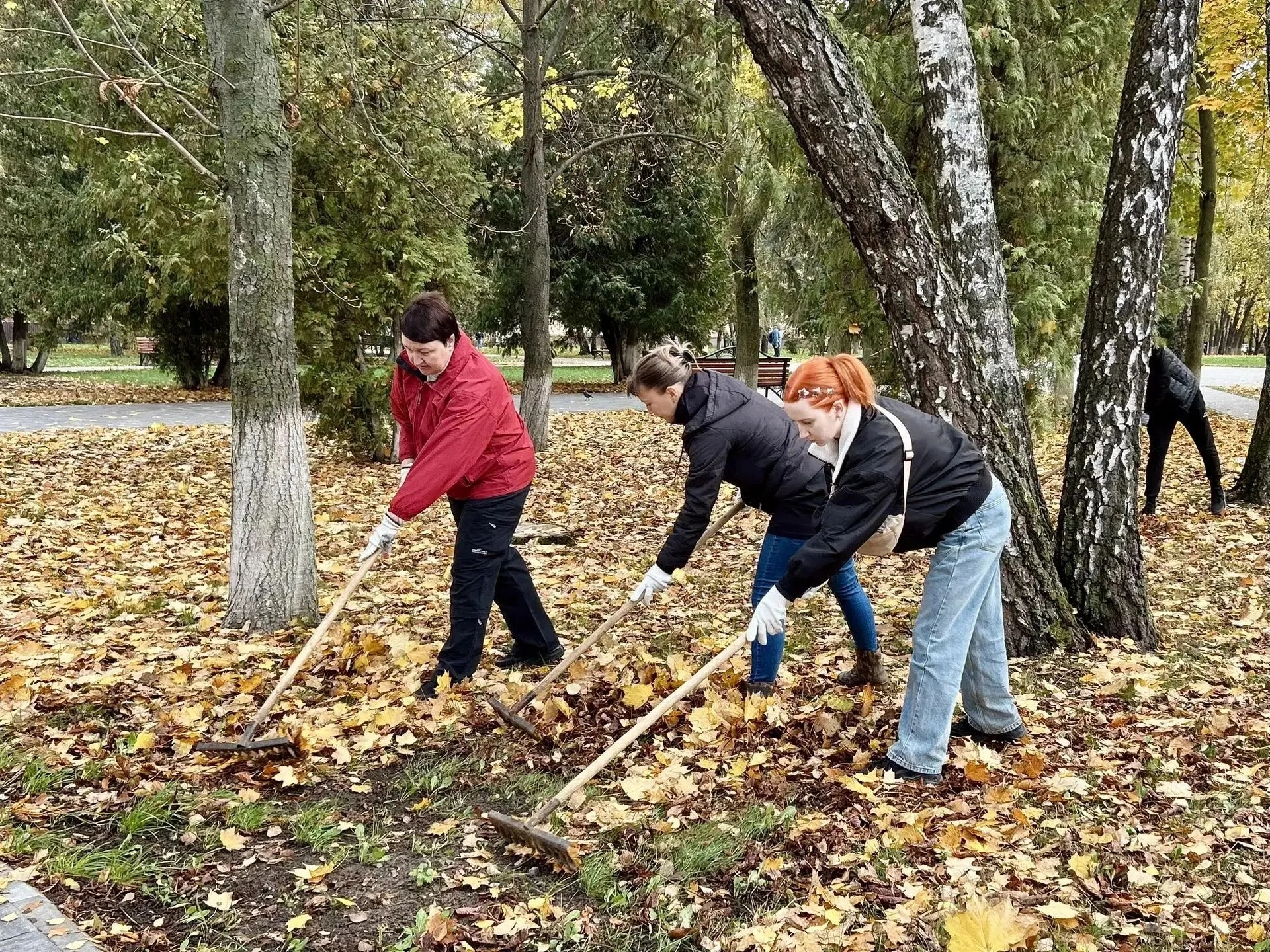 В Курске сотрудники администрации Сеймского округа привели территорию в порядок