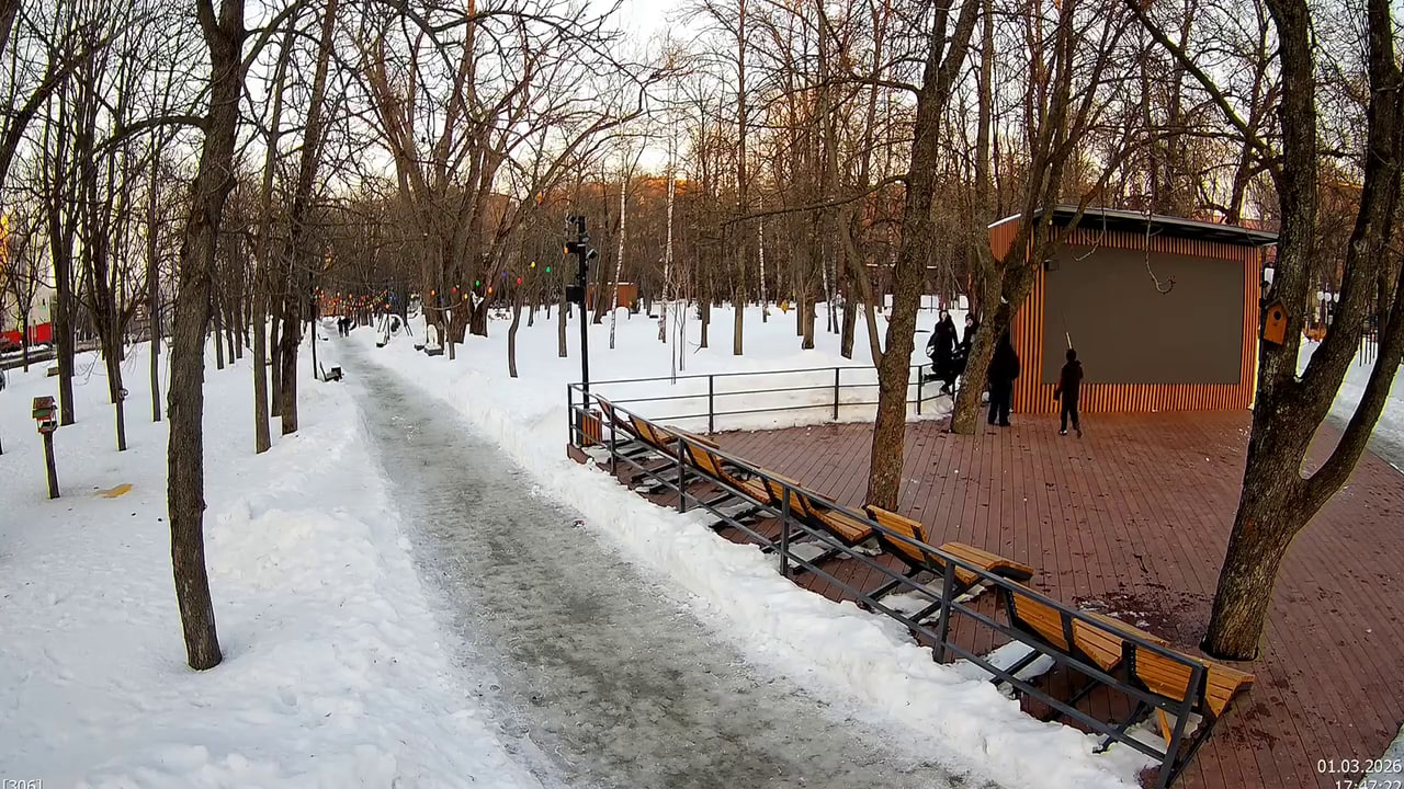 В Курске подростки во время игры в хоккей повредили экран в Парке пионеров