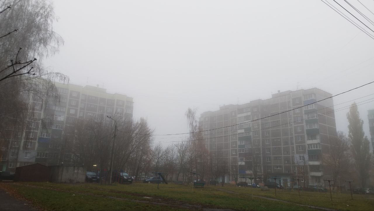 Курян предупреждают о тумане и грозах в ближайшие сутки