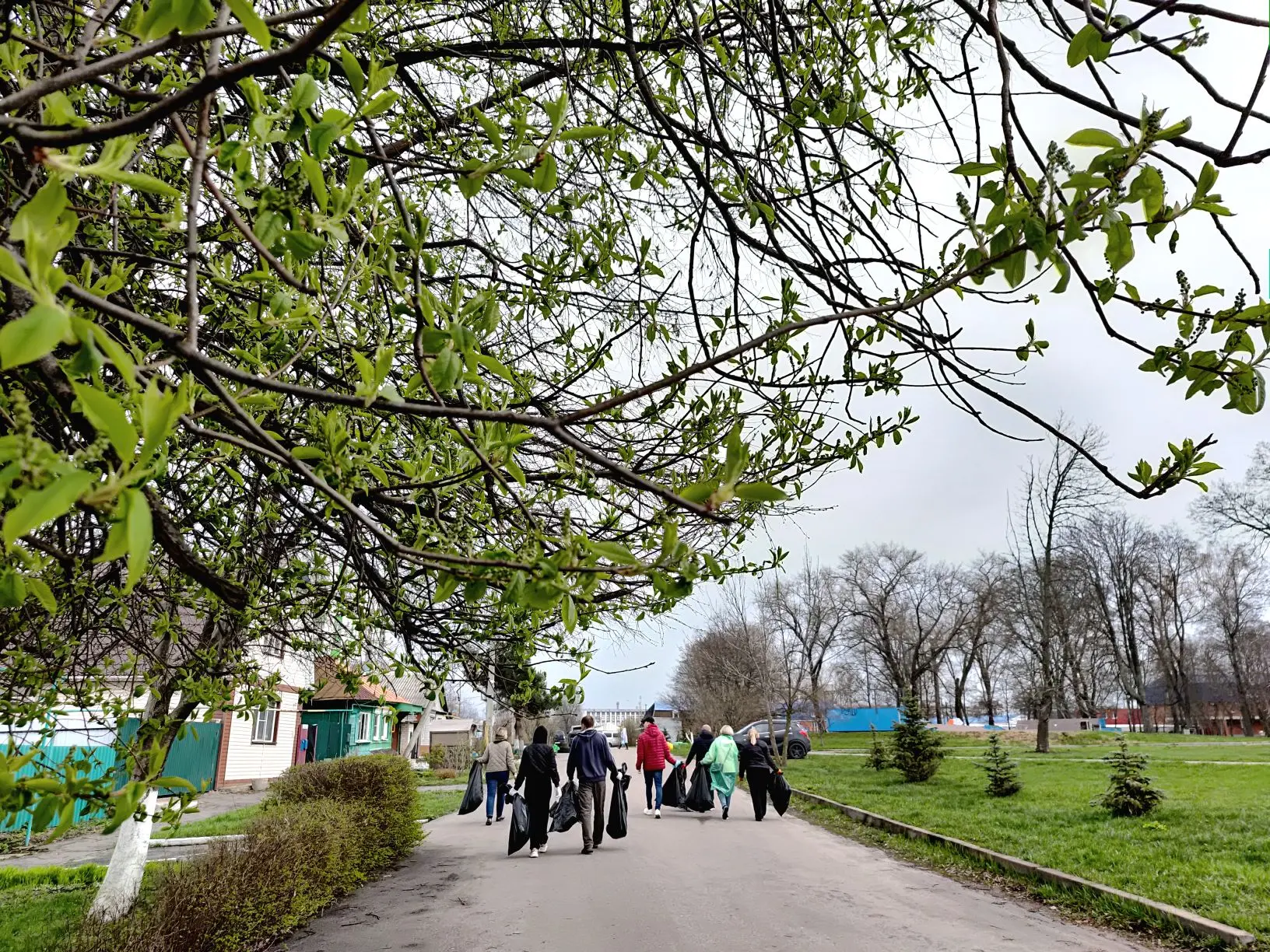 На Театральной в Курске состоялся субботник