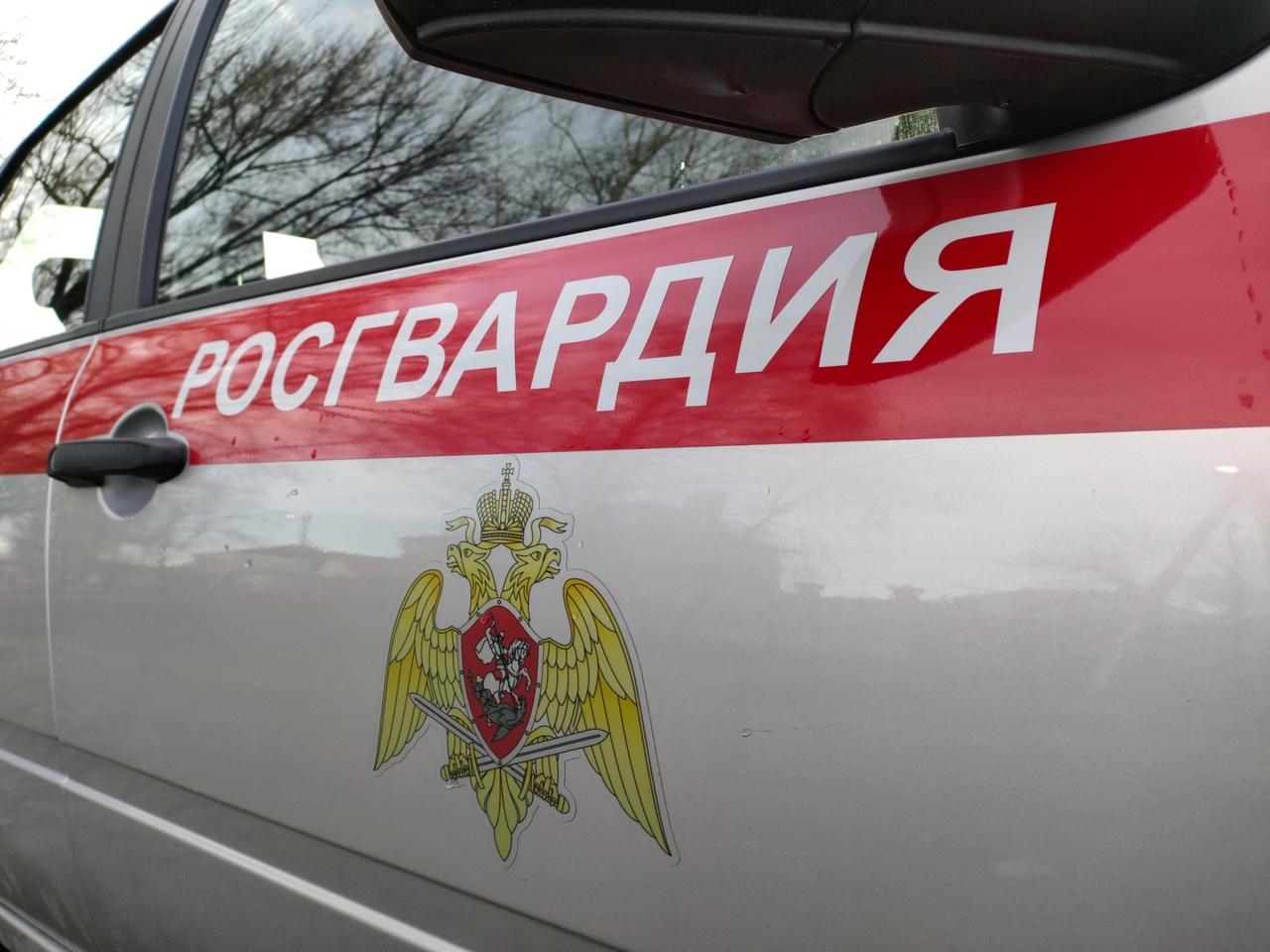  В Курской области завершили дело о бизнесе на интим-услугах