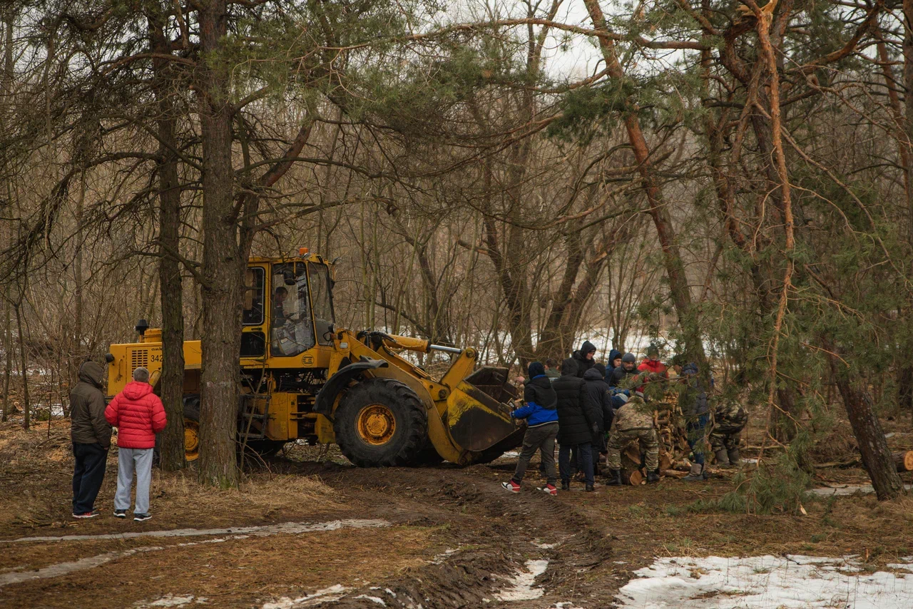 В Курске продолжится работа по заготовке дров для нужд СВО