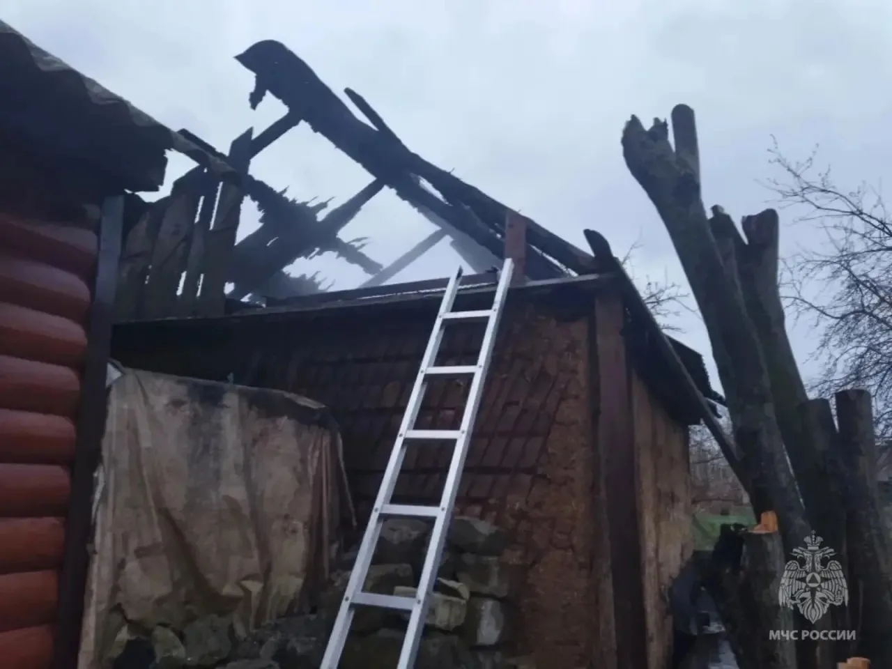 В Понырях из-за короткого замыкания сгорел сарай с индюшатами