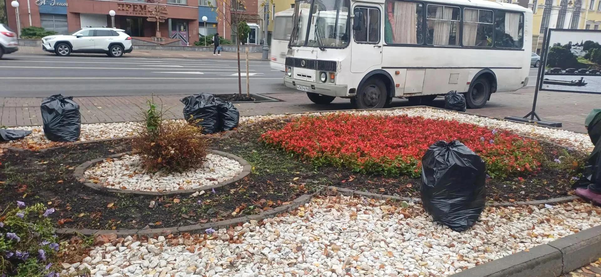 В Курске цветы готовят к зимовке