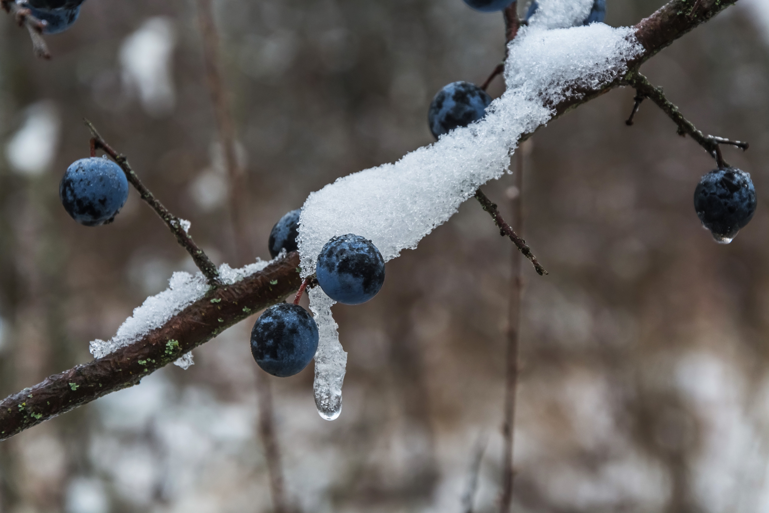 В Курске 15 декабря будет облачно 