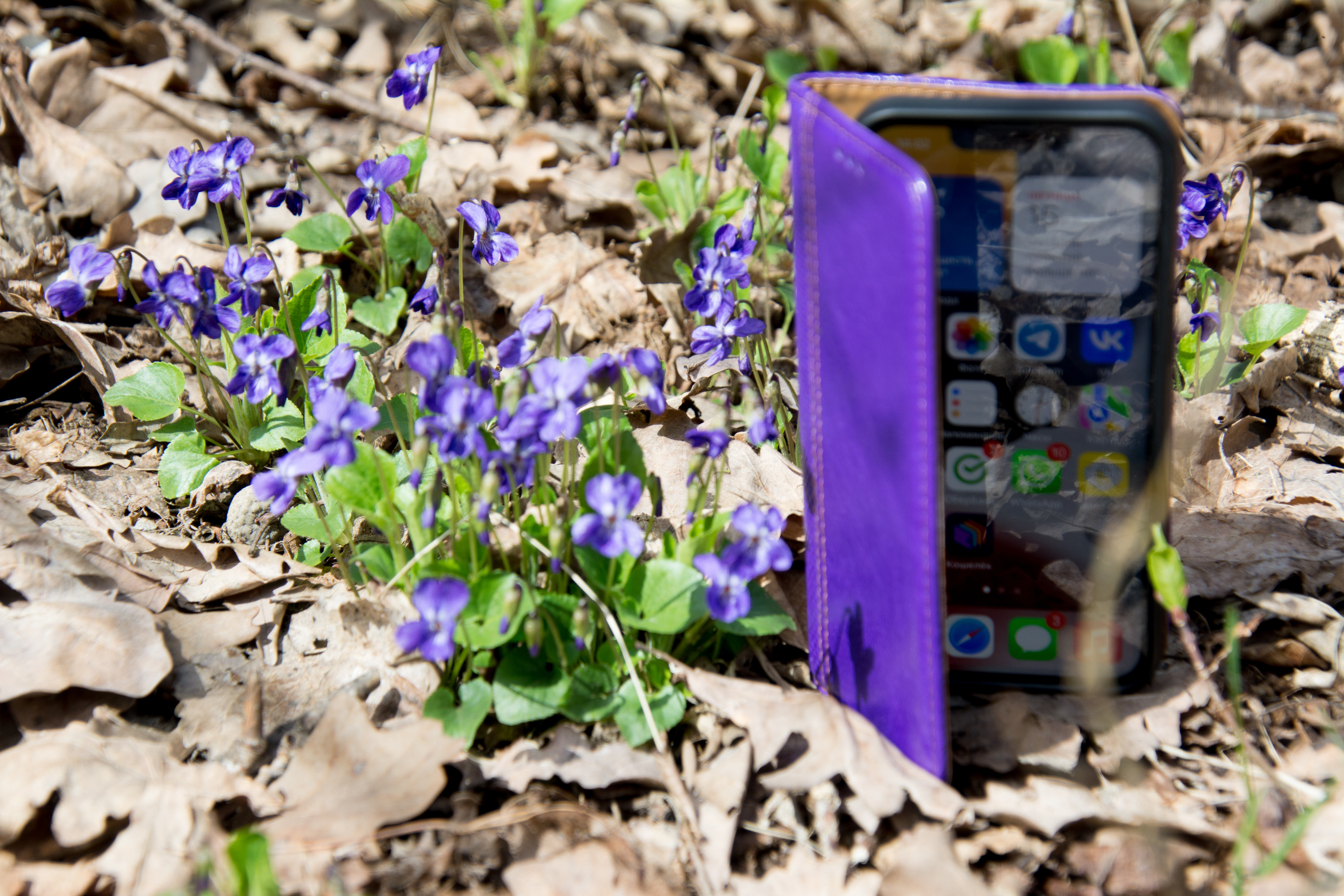 Курск накроет сильная магнитная буря 30 апреля