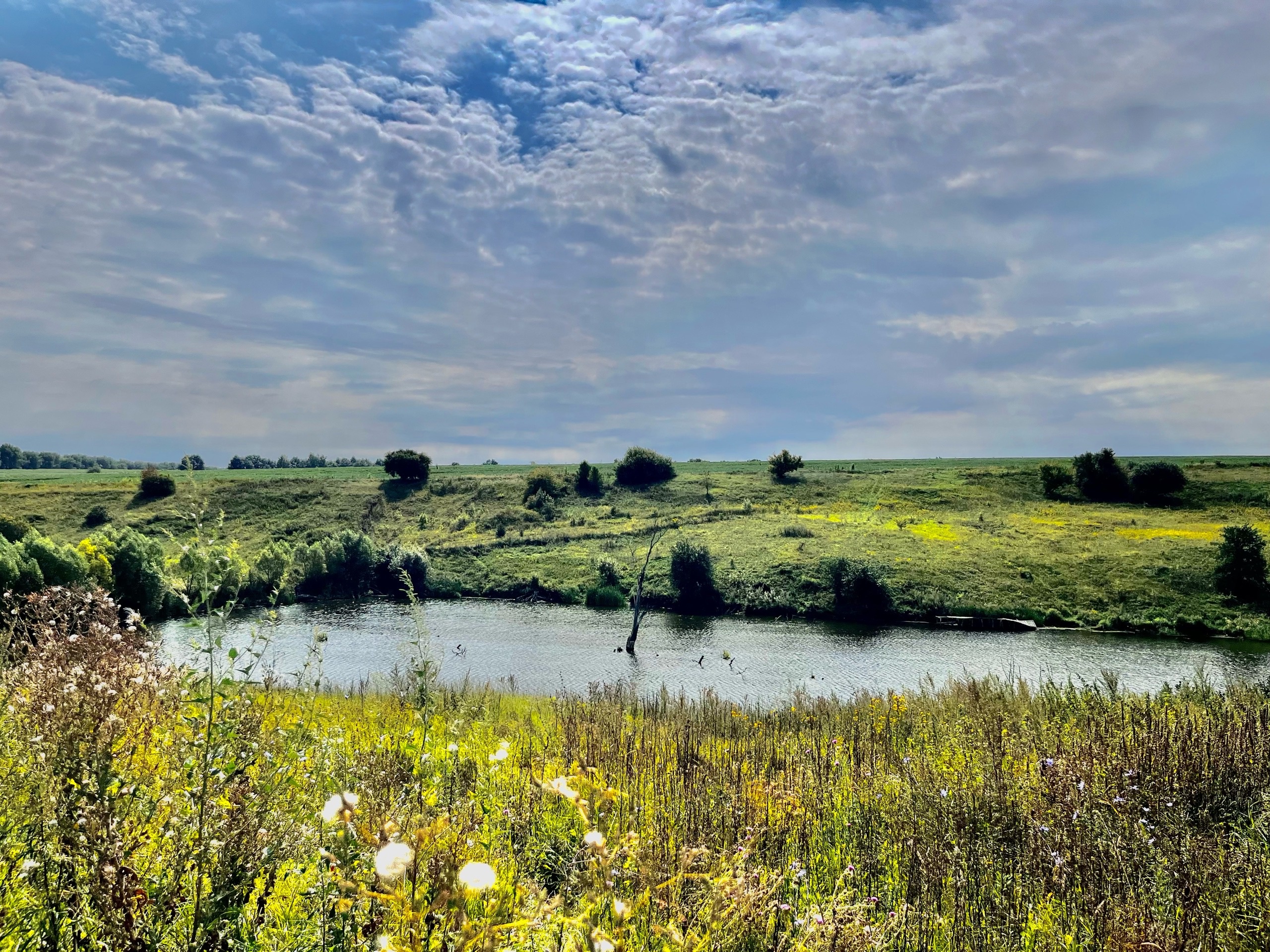 В Курске прошёл мини-форум по экологии для школьников