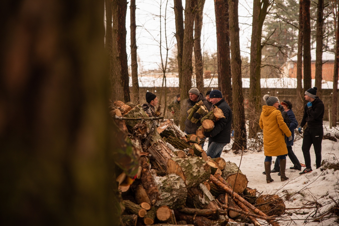 В Курске в урочище Крутой лог 25 марта пройдет акция по заготовке дров для участников СВО
