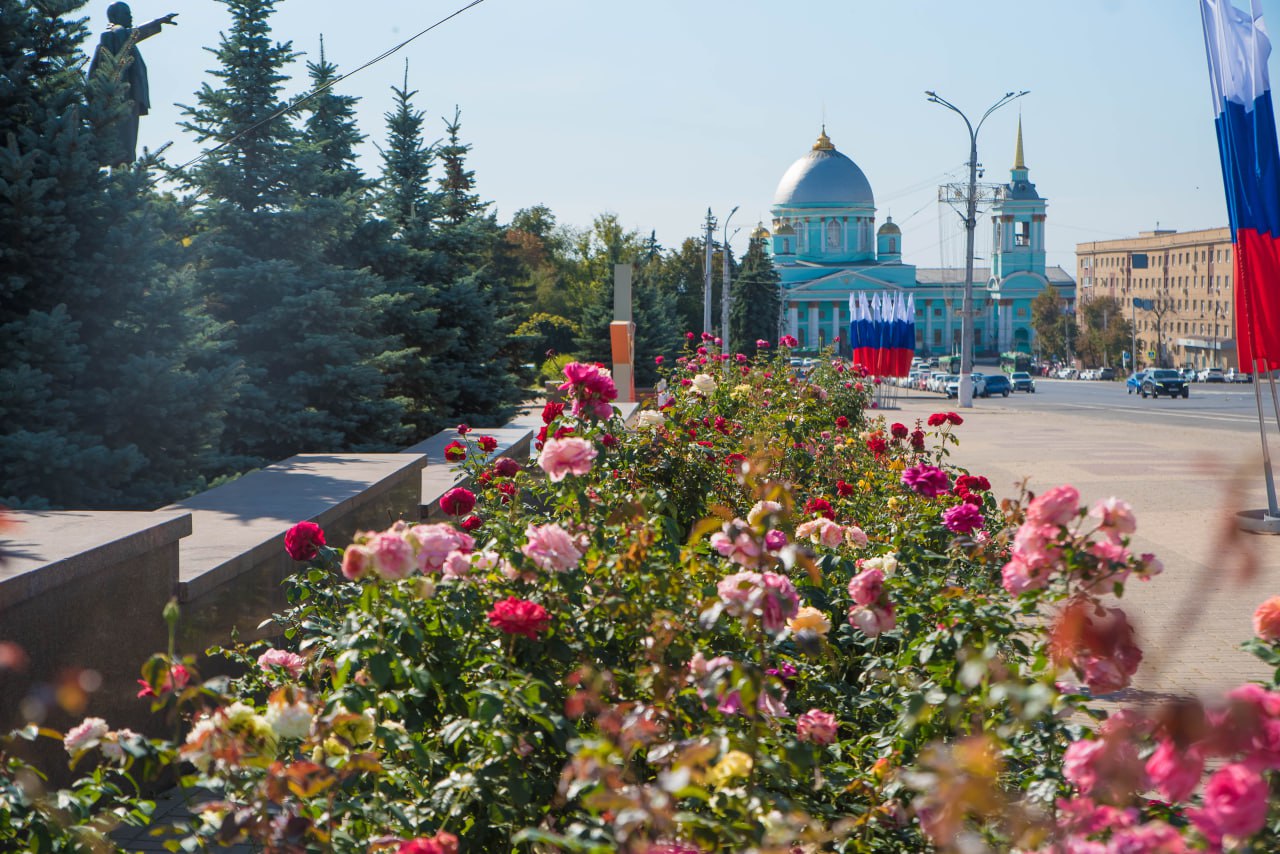 Курская область победила в президентском конкурсе «Регион для молодых»