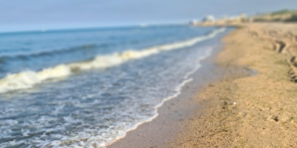 И под водою жизнь кипит