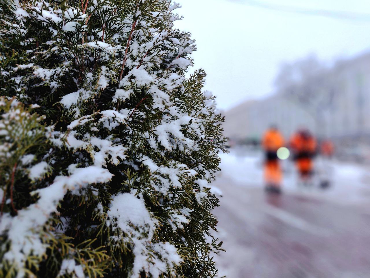 В Курске выпал первый снег