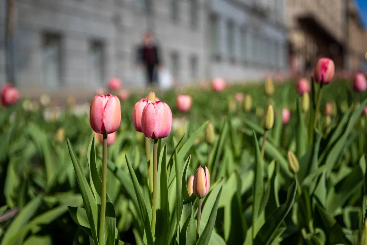 Среднестатистическая курянка тратит на уход за собой 3 часа