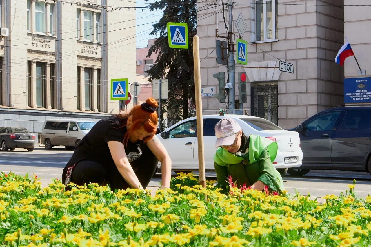 В Курске планируют высадить 250 тысяч цветов