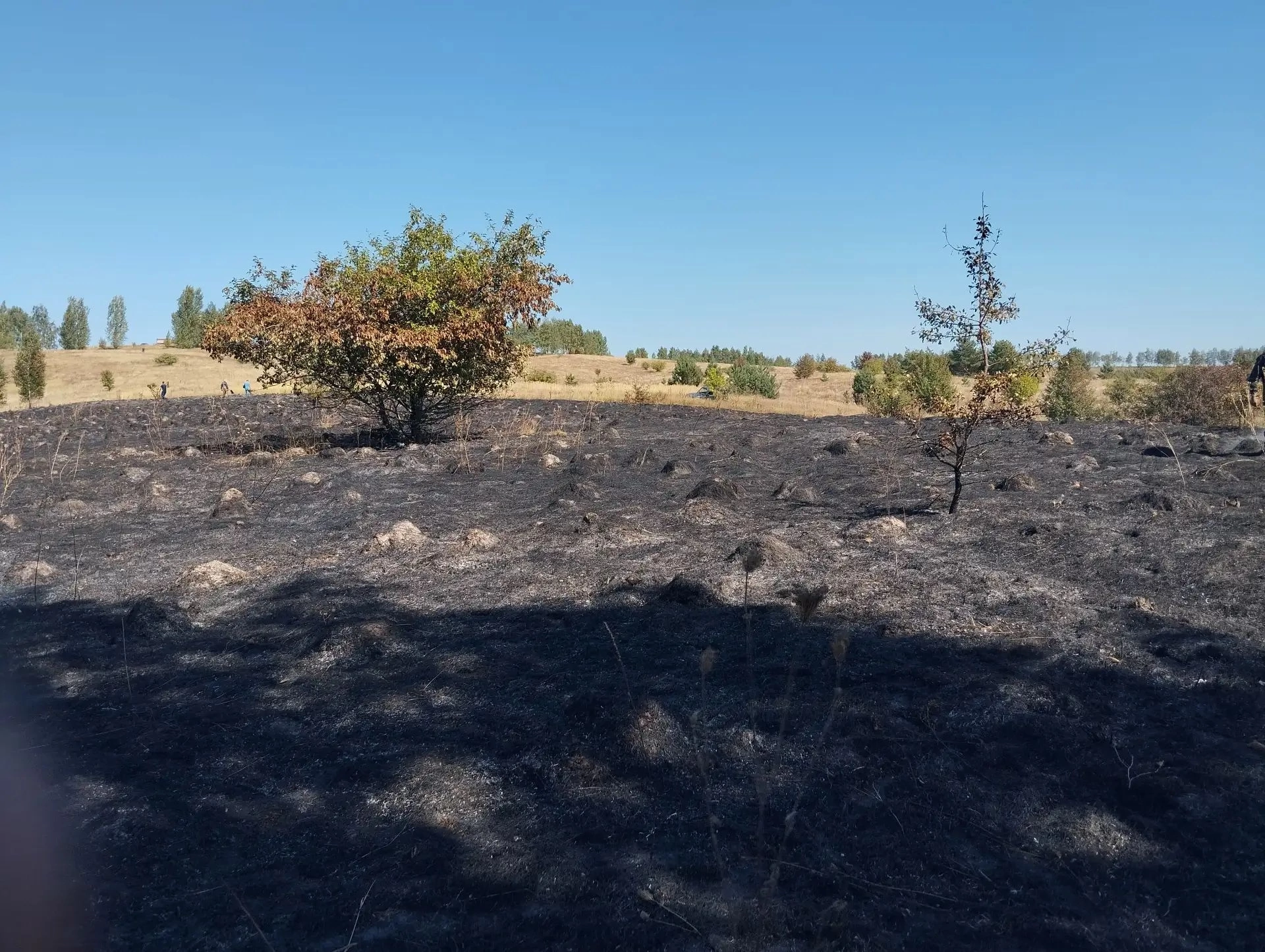 В Обоянском районе в Курской области предотвратили два возгорания вблизи гослесфонда