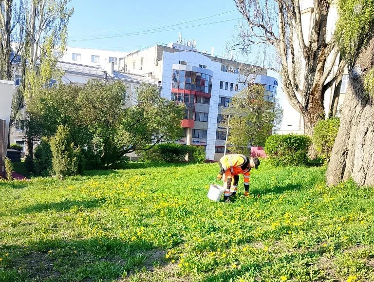 В общественных пространствах Курска убирается 21 человек