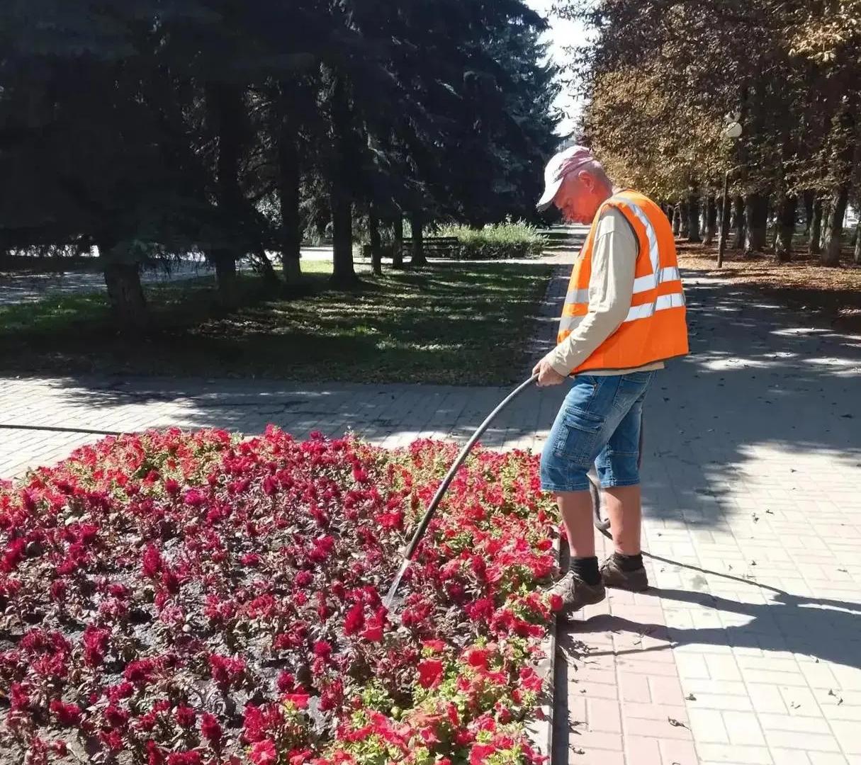В курских парках и скверах продолжают заботиться о цветниках и деревьях