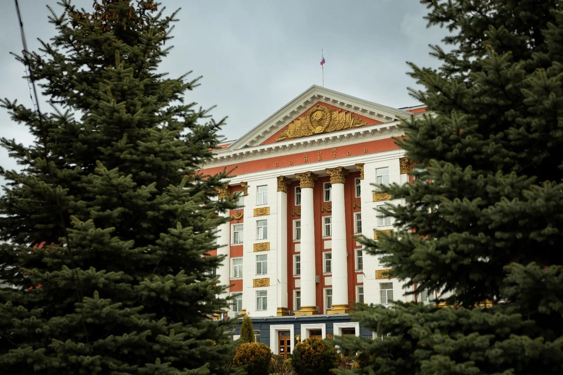  214 курских работодателей получили субсидии за простой