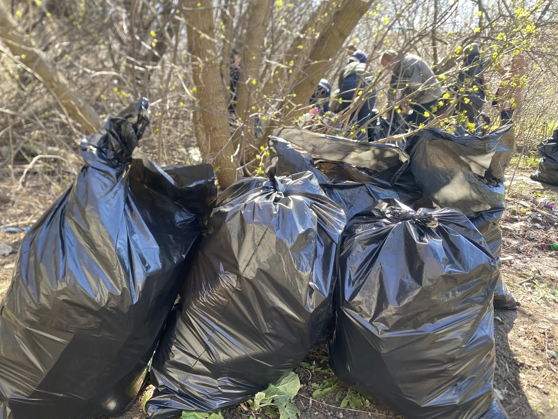 Коллектив газеты «Городские известия»  вновь вышел на субботник