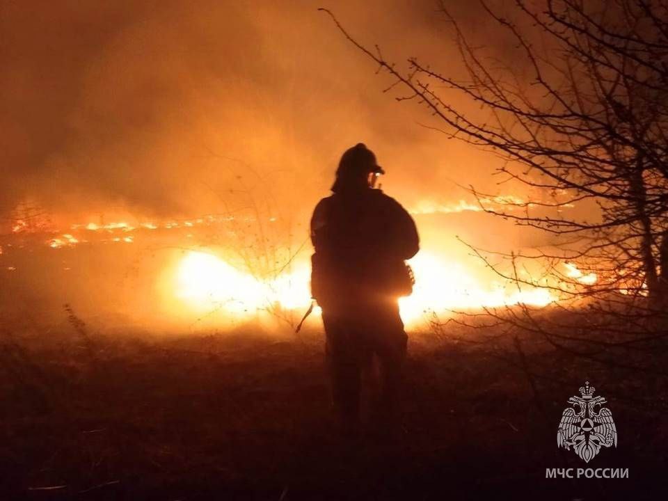 В Курской области за сутки 25 раз тушили горение сухой травы