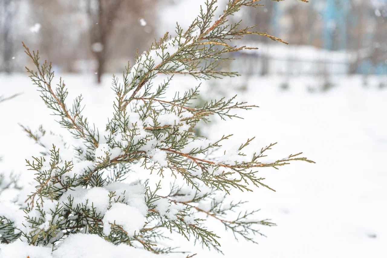 В четверг курян ждет очень сильный снег