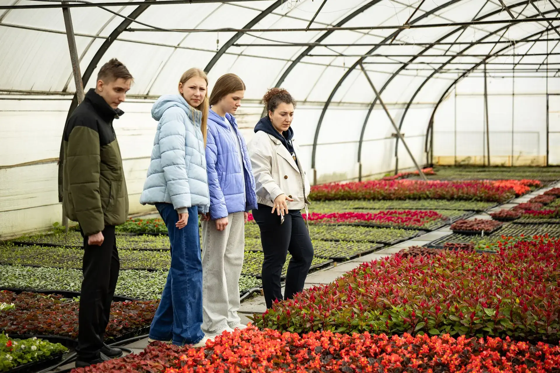 Непогода внесла корректировку в график озеленения клумб в Курске