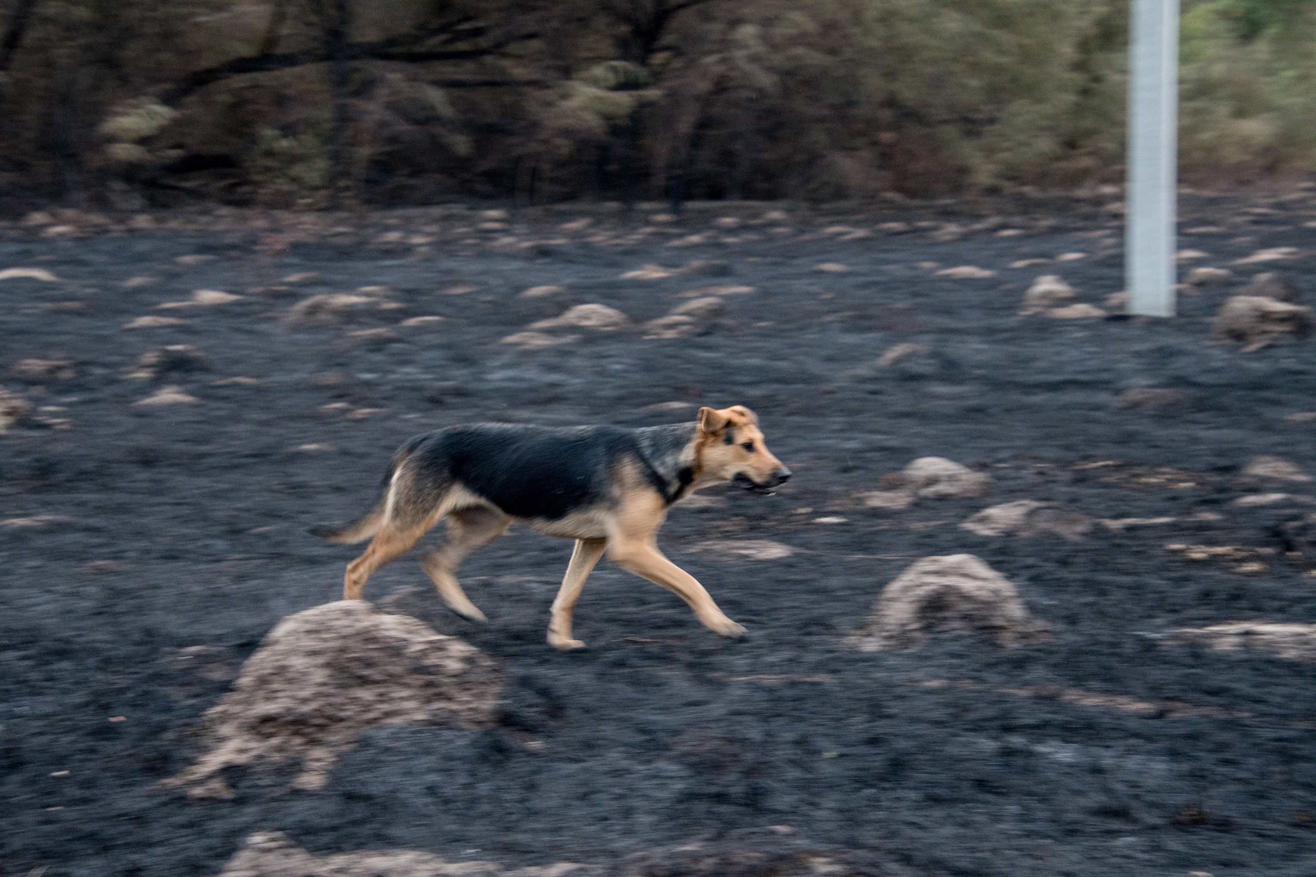 Беспилотник поджёг дом в хуторе Фонов Курской области