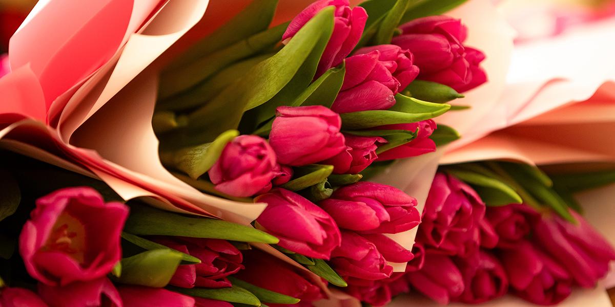 Городские Известия № 20-21 (5165-5166)