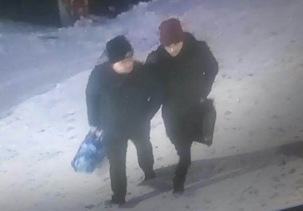 Курская полиция ищет подозреваемых в краже