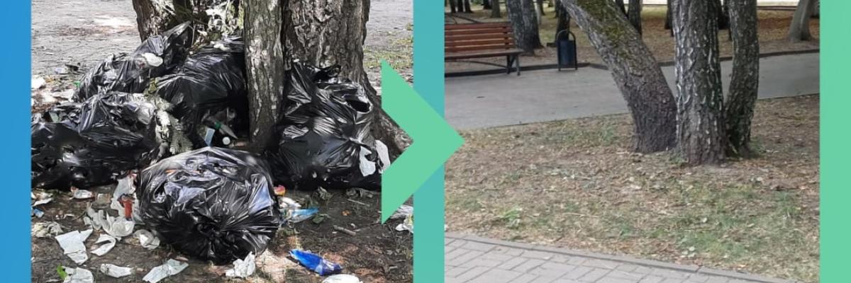 В Курске ликвидировали свалку в парке имени Рокоссовского