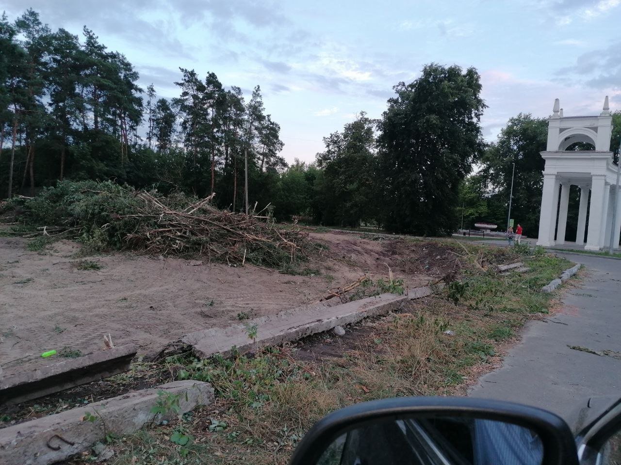 В администрации Курска прокомментировали информацию о сносе деревьев рядом с «Соловьиной рощей»