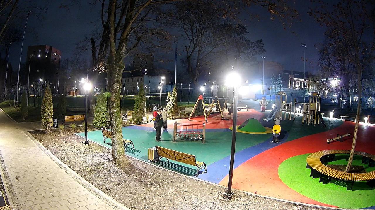 Сломавших нос фигуре волка юных курян зафиксировали камеры видеонаблюдения