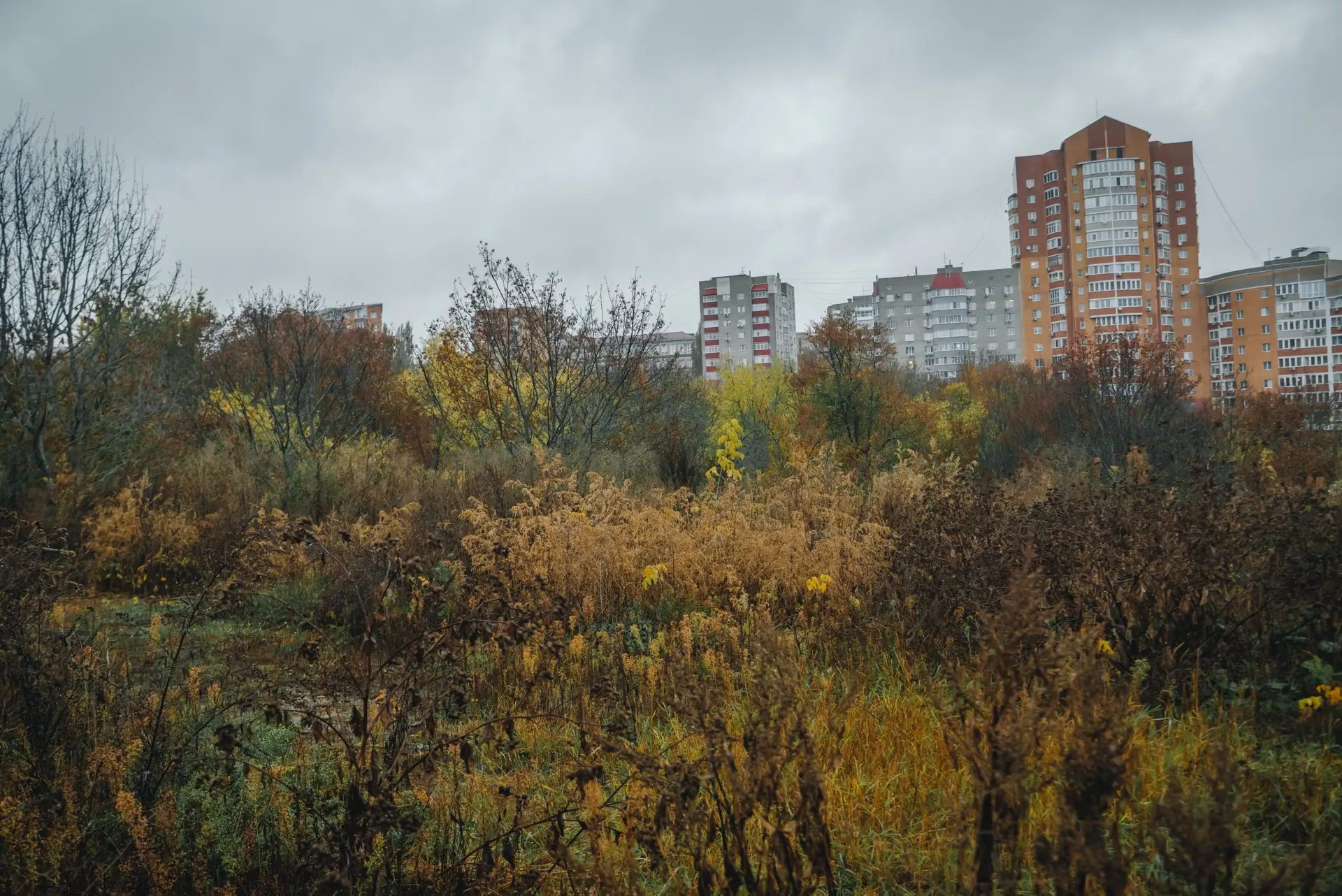 В собственность Курска вернули участок земли на Мирной