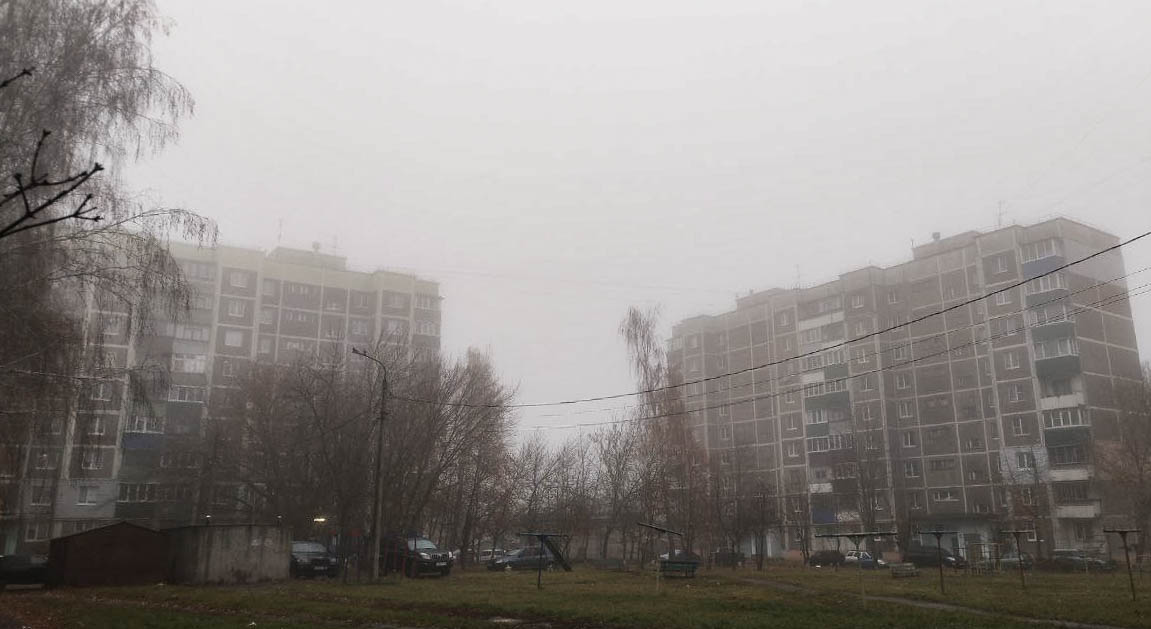 В Курске 30 ноября прогнозируют туман и +2 градуса