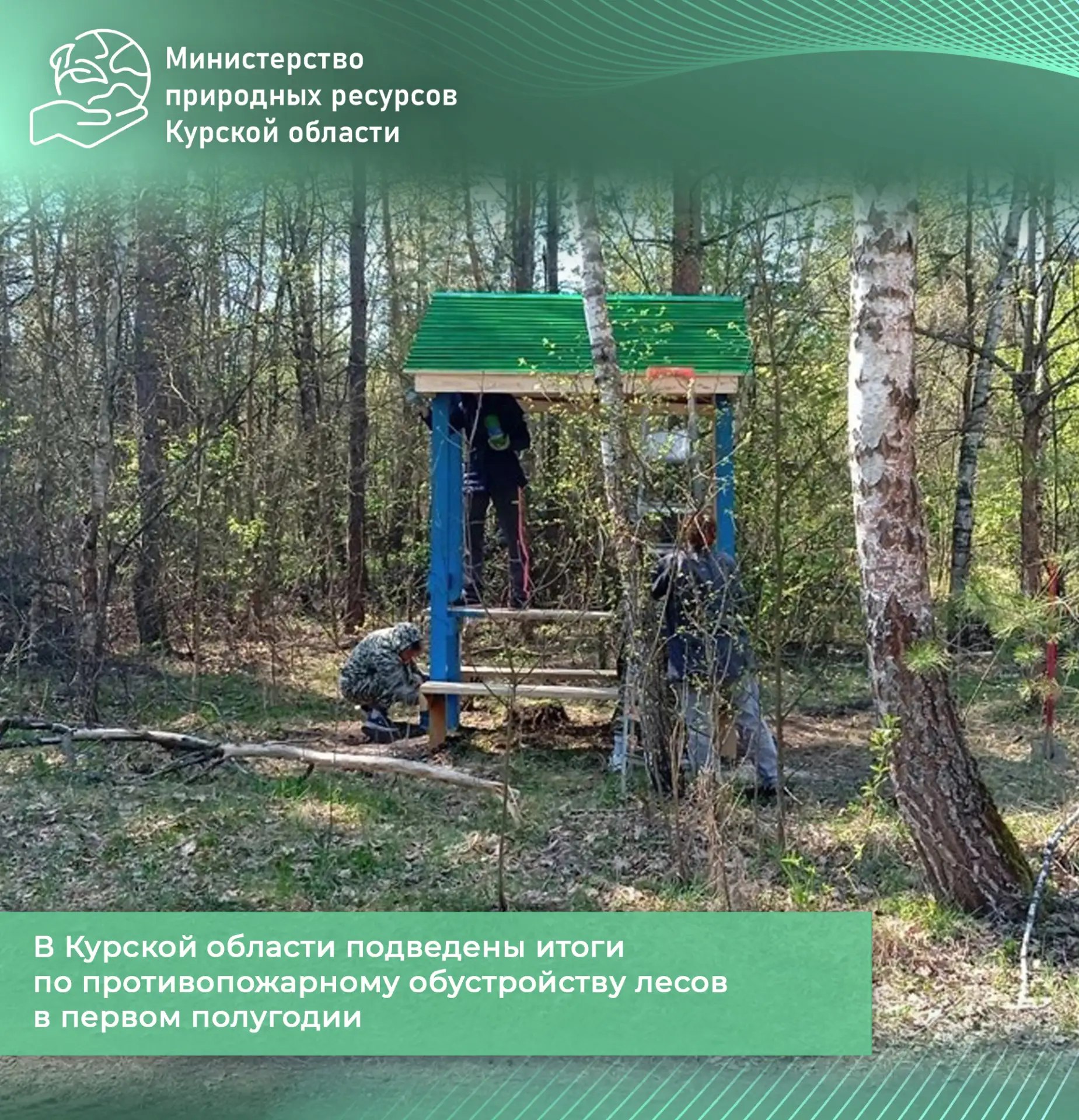 В Курской области подведены результаты по противопожарному обустройству лесов в первом полугодии