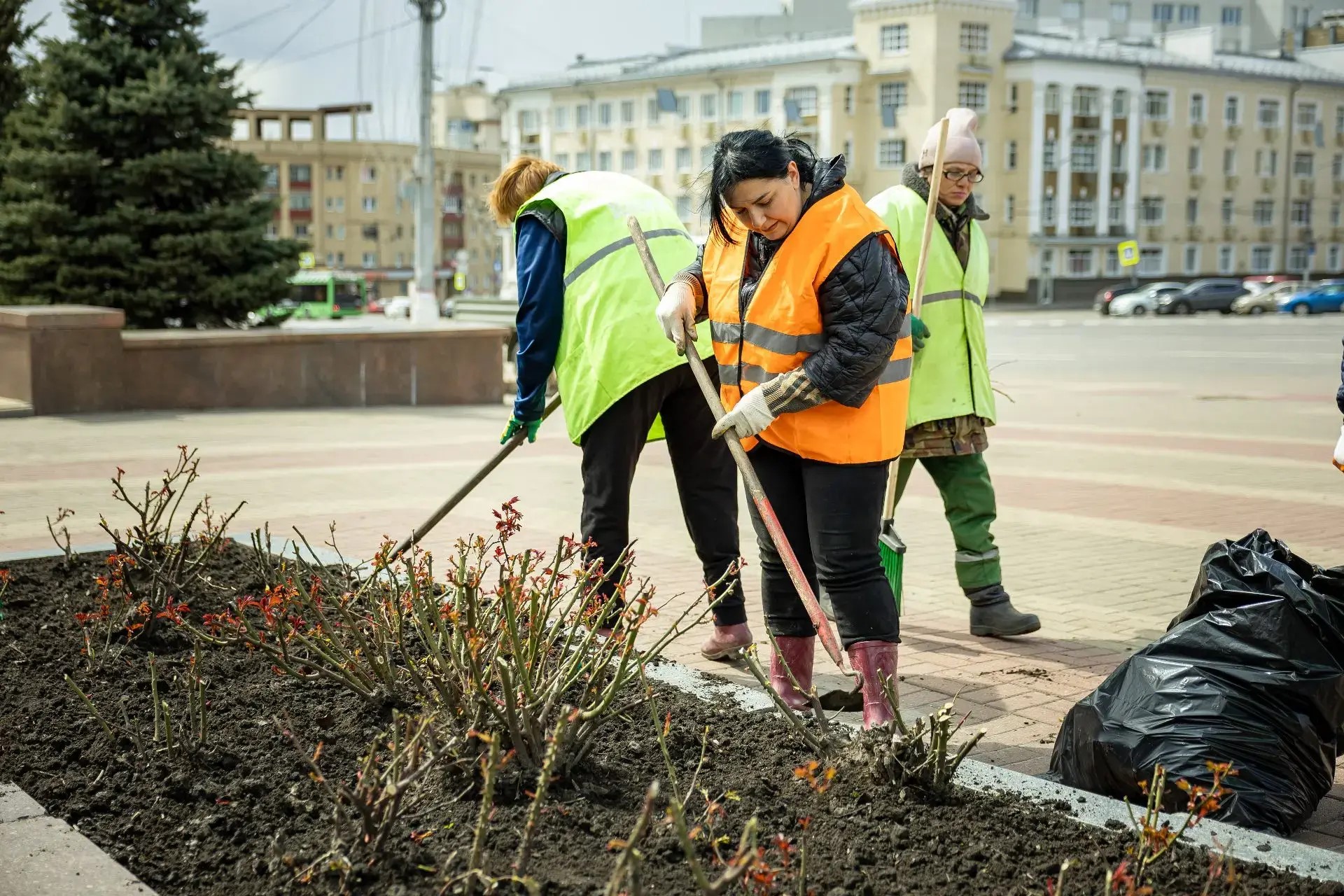 В Курске поврежденные розы отправляют на «реабилитацию»