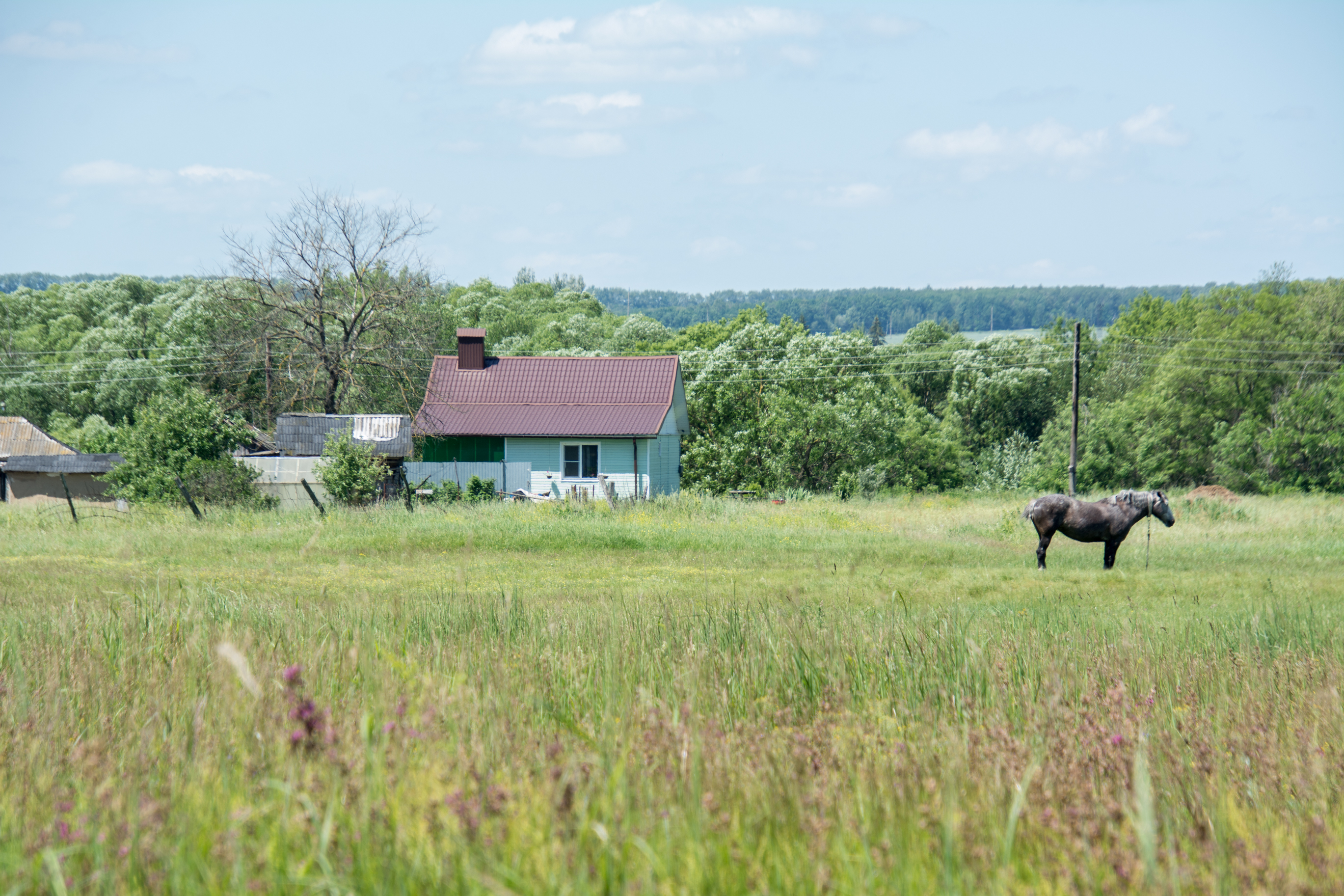 Аграрии Курской области в 2025 году получили более 6,7 миллиардов рублей господдержки