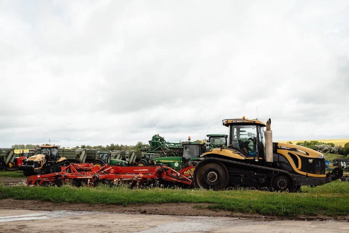 В Курской области выявили 5 тысяч тонн кукурузы с микотоксином