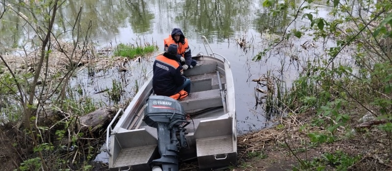 В реке Сейм в Курской области обнаружено тело 56-летнего мужчины