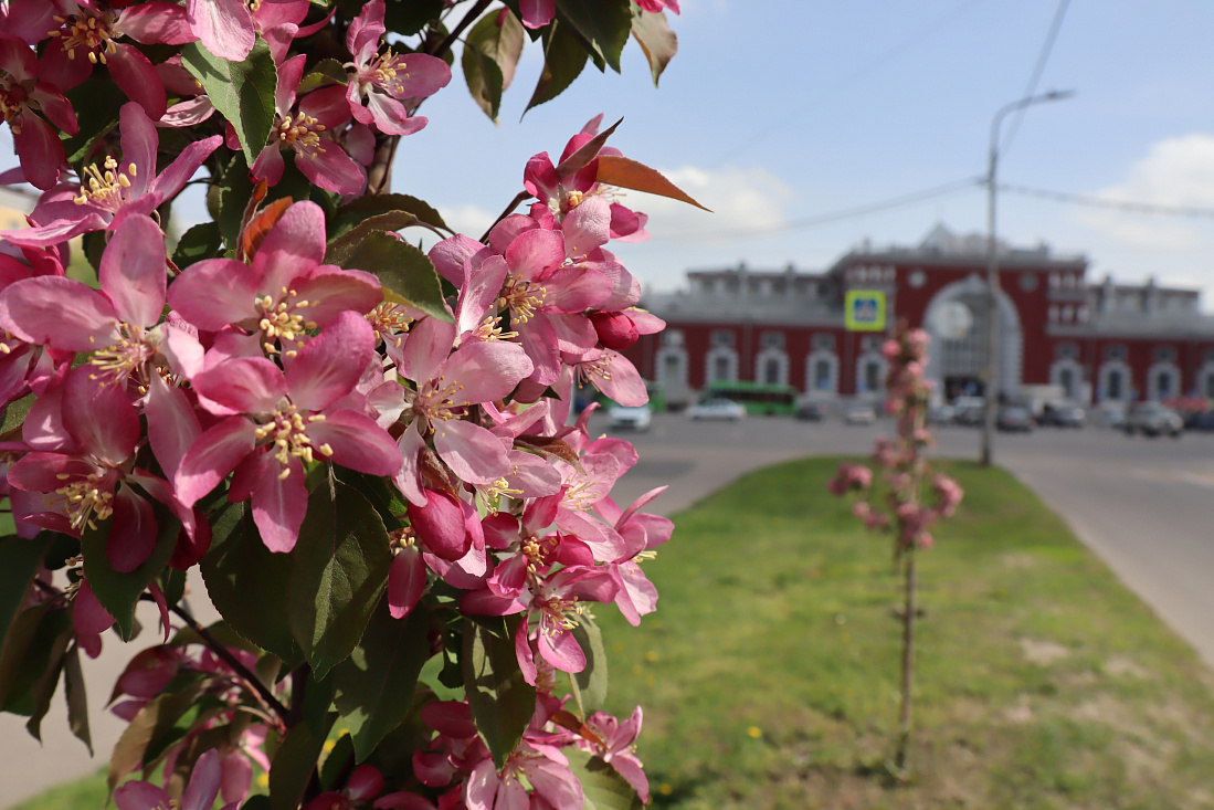 В Курской области изменится расписание пригородных поездов на праздники