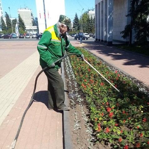 В мае на клумбы Курска высадят 233 тысячи цветов 