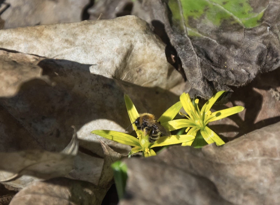 В Курске 22 февраля ожидается переменная облачность
